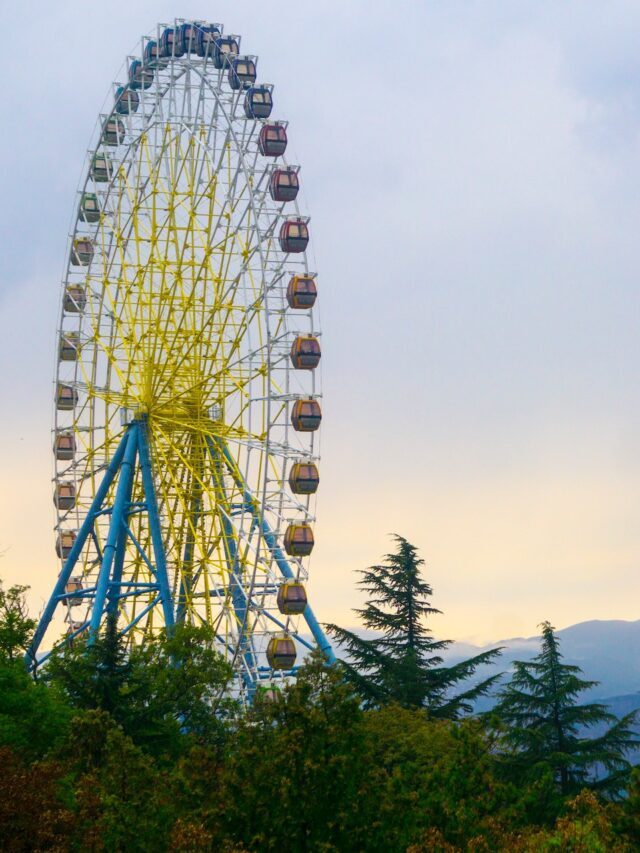 Georgia Man Woke Up Richer in Powerball Win