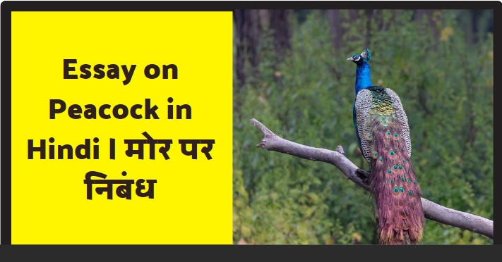 Essay on Peacock in Hindi | मोर पर निबंध